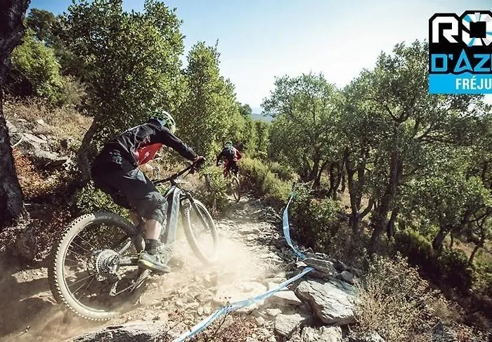 Apartment Splendide Au Coeur Historique De Frejus